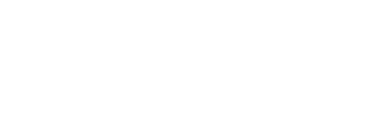 Logo neuroday 2