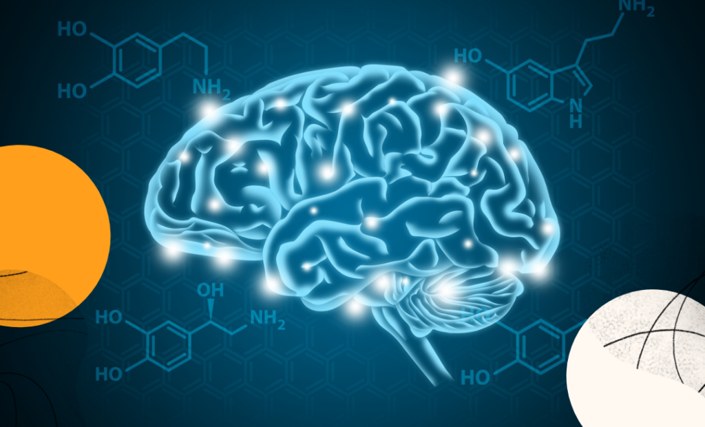 neurosciences, dopamine et cohésion d'équipe
